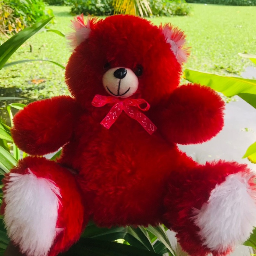 Red Color 1 Feet Teddy Bear for Girls Soft Stuffed Lovable Hugable Non-Toxic Fabric Cute Teddy Bear for Birthday / Anniversary / Valentine / Gift Teddy Bear